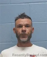 Mugshot of CHRISTOPHER WAYNE BERRY booked in Lee County, Alabama on July 7, 2026