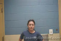 Mugshot of AMBER MARIE HENDERSON booked in Lee County, Alabama on May 13, 2026