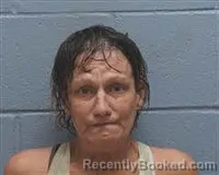 Mugshot of Sarah L Sandiford booked in Lee County, Alabama on September 14, 2026