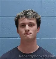 Mugshot of RILEY HEATH WATSON