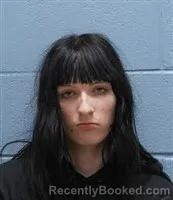 Mugshot of BRADLY ANDREW WELCH