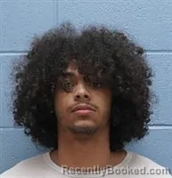 Mugshot of GABRIEL DRAYDON WILLIAMS