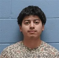 Mugshot of ISMAR DAVID HIDALGO- CASTILLO
