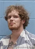 Mugshot of MCKENZIE MICHAEL STEVENS booked in Lee County, Alabama on March 5, 2026