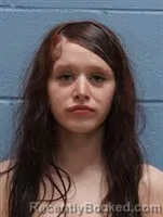 Mugshot of TORI MICHELLE HOWARD booked in Lee County, Alabama on March 8, 2026