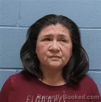 Mugshot of YOLANDA MARTINEZ- CAMACHO