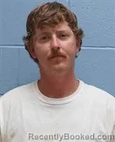 Mugshot of WALTER JAMES TISDALE