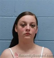 Mugshot of BREEANNA LYNN MITCHELL booked in Lee County, Alabama on March 28, 2026