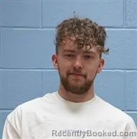 Mugshot of AJ PARKS STRICKLAND booked in Lee County, Alabama on March 29, 2026