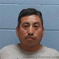 Mugshot of ELDER RAMIREZ booked in Lee County, Alabama on April 3, 2026