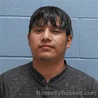 Mugshot of ABELINO PEREZ MORALES booked in Lee County, Alabama on April 4, 2026