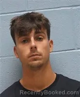 Mugshot of RAPHAEL PERTUSIER booked in Lee County, Alabama on April 26, 2026