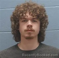Mugshot of JACKSON ROBERT MORGAN booked in Lee County, Alabama on June 2, 2026