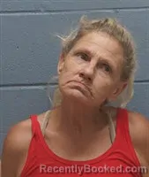Mugshot of TAMMY KAYE INGRAM booked in Lee County, Alabama on June 2, 2026