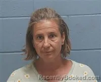 Mugshot of ELAINE MICHELLE FREEMAN booked in Lee County, Alabama on June 3, 2026