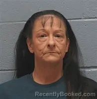 Mugshot of KELLI JO RYALS PETERSON booked in Lee County, Alabama on June 4, 2026