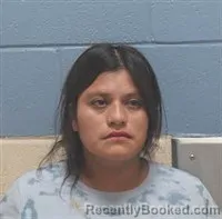 Mugshot of Flor Anseima Sebastian-Lopez booked in Lee County, Alabama on June 19, 2026