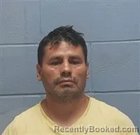 Mugshot of LUIS ALBERTO FLORES booked in Lee County, Alabama on July 8, 2026
