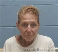 Mugshot of MELINDA ANDERSON booked in Lee County, Alabama on August 3, 2026