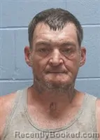 Mugshot of Larry Lee Lewis booked in Lee County, Alabama on August 13, 2026