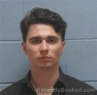 Mugshot of Artem Pogosov booked in Lee County, Alabama on August 21, 2026