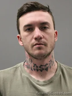 Booking photo from Limestone County, Alabama