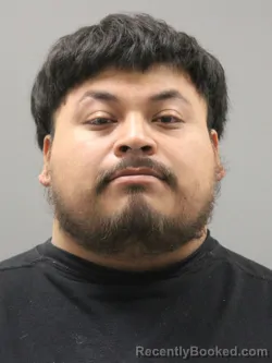 Mugshot of ELBARDO LOPEZ GOMEZ