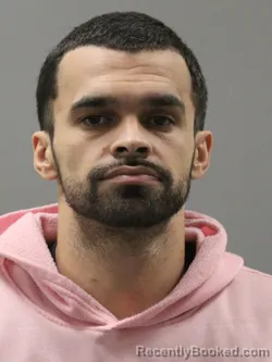 Booking photo from Limestone County, Alabama