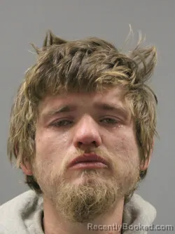 Booking photo from Limestone County, Alabama