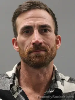 Booking photo from Limestone County, Alabama