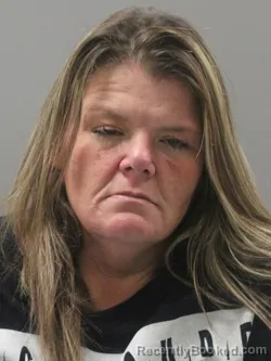 Mugshot of HOLLY BETH WILSON