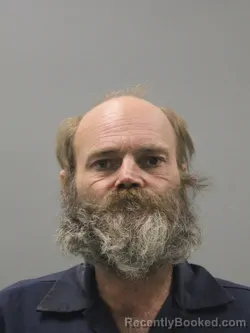 Mugshot of JR WAYNE EARL DAVIS