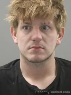 Mugshot of JOSHUA GAGE GIBSON
