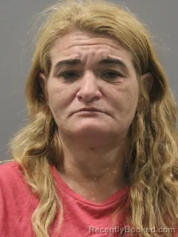 Mugshot of CHRISTI LYNN TELLEZ