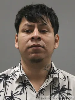 Mugshot of NERY FRANSICO-CHEJAL ALONZO