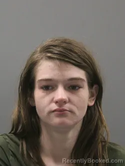 Mugshot of LILLIANA ELIZABETH HILL
