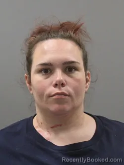 Mugshot of ASHLEY BREANNE DARMER