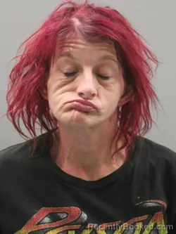 Mugshot of KRISTIE ELIZABETH JOHNSON