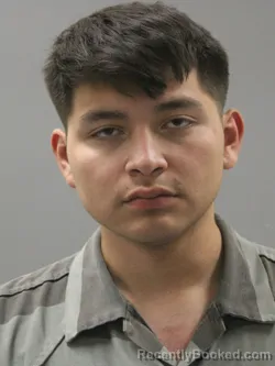 Mugshot of CARLOS MARTIN PALACIOS