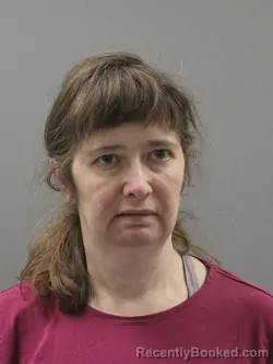Mugshot of CARRIE ANNE SMITH