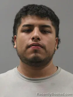 Mugshot of JUVENTINO RAMIREZ