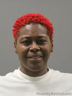 Mugshot of SHANNON MICHELLE JOHNSON booked in Limestone County, Alabama on March 26, 2026