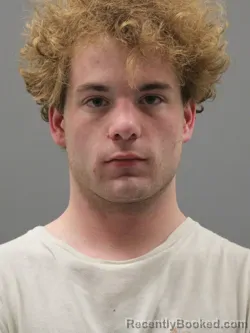 Mugshot of AUSTIN LANCE DYLAN HOLT booked in Limestone County, Alabama on April 17, 2026