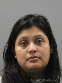 Mugshot of ANAYELI SALGADO TOLEDO booked in Limestone County, Alabama on May 3, 2026