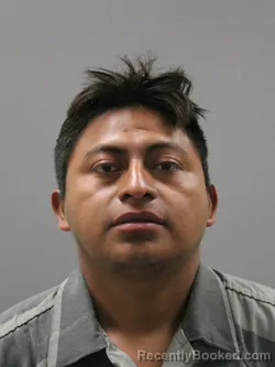 Mugshot of HENRY ESTUARDO booked in Limestone County, Alabama on May 17, 2026
