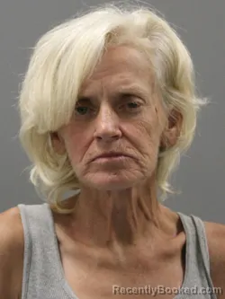 Mugshot of HELEN ANN HUNT booked in Limestone County, Alabama on May 27, 2026