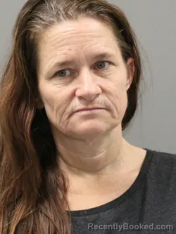 Mugshot of DUSTY NICOLE MARTIN booked in Limestone County, Alabama on June 13, 2026