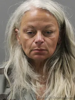 Mugshot of SACHA JEAN JOHNSON booked in Limestone County, Alabama on July 4, 2026