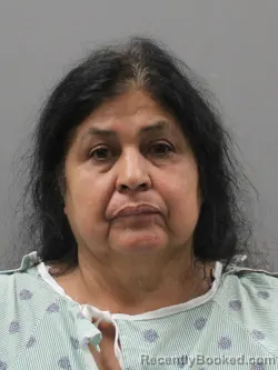 Mugshot of LILIA JAIME REYES booked in Limestone County, Alabama on July 5, 2026