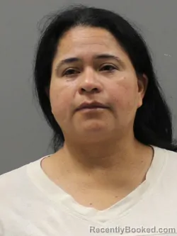 Mugshot of MARISOL GUTIERREZ RESENDIZ booked in Limestone County, Alabama on July 8, 2026